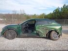 2024 Ford Mustang Mach-e Premium Green vin: 3FMTK3S56RMA06635