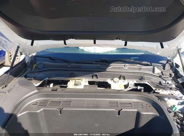 3FMTK4SX3RMA30835 2024 FORD MUSTANG MACH-E Белый Вид сзади