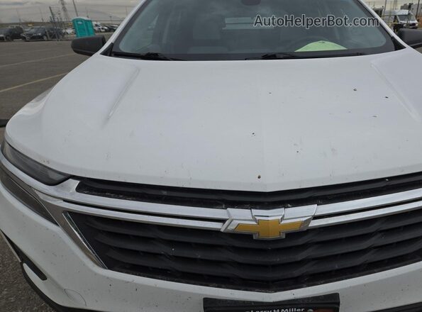 3GNAX5EGXRL304334 2024 CHEVROLET EQUINOX  Вид сзади