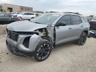 2026 Chevrolet Equinox Rs Gray vin: 3GNAXLEG6TL100741