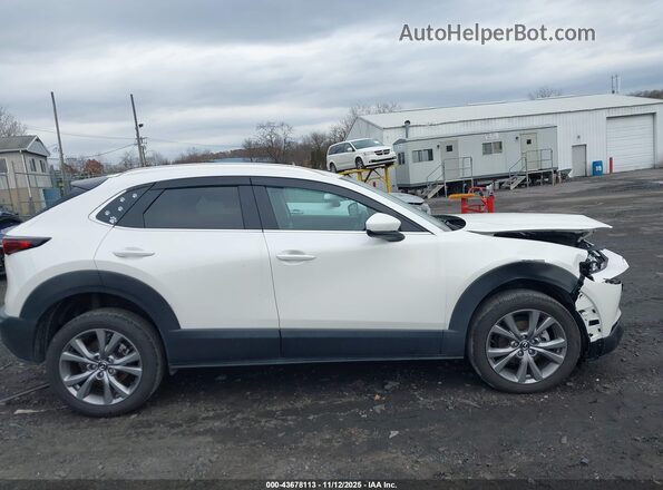 3MVDMBCM9PM547130 2023 MAZDA CX-30 Белый Вид задней части салона