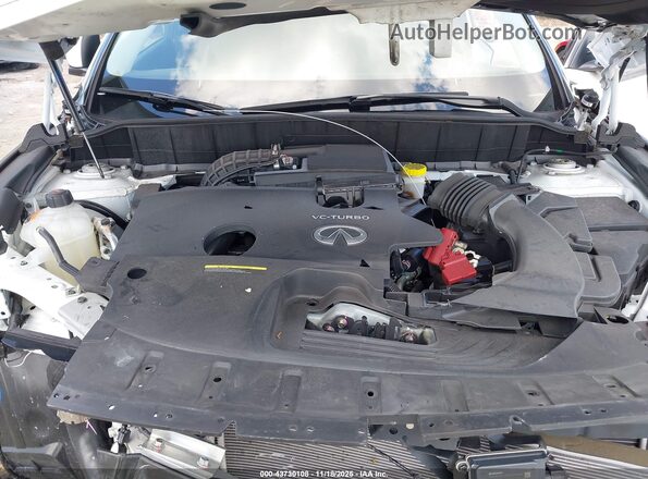 3PCAJ5BA1PF108711 2023 INFINITI QX50 Белый Вид сзади