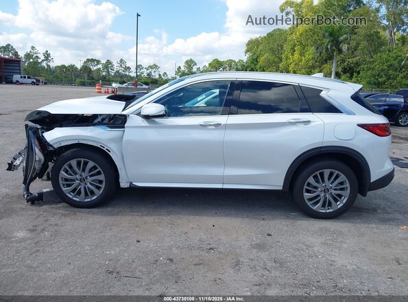 3PCAJ5BA1PF108711 2023 INFINITI QX50 Белый Вид задней части салона
