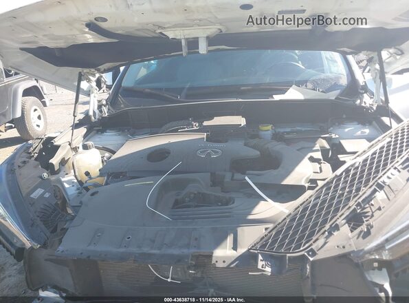 3PCAJ5BA1PF118185 2023 INFINITI QX50 Белый Вид сзади