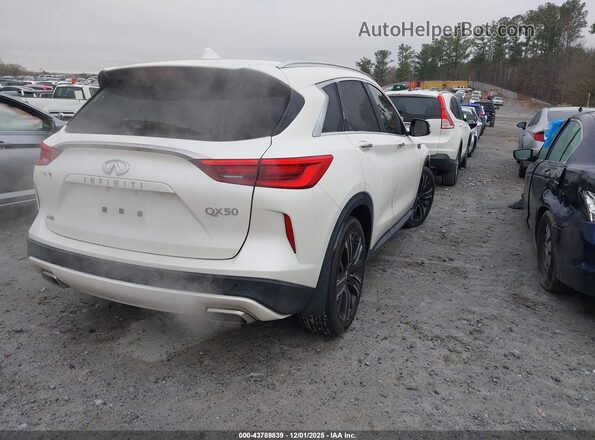 3PCAJ5BB9MF111389 2021 INFINITI QX50 White Rear right