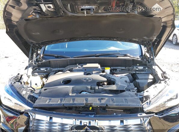 3PCAJ5KR3RF101610 2024 INFINITI QX55 Black Widok z tyłu