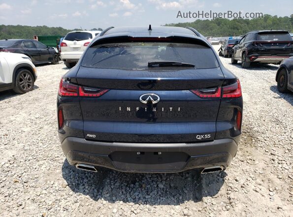 3PCAJ5LR4RF110847 2024 INFINITI QX55 Blue Widok z tyłu