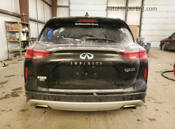 3PCAJ5M32KF121281 2019 INFINITI QX50 Черный Вид сзади