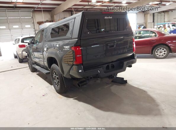 3TYJBAFN0RT013918 2024 TOYOTA TACOMA Gray Задня ліва чверть