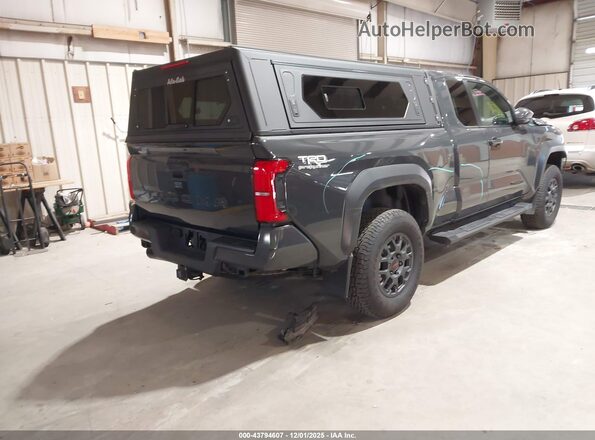 3TYJBAFN0RT013918 2024 TOYOTA TACOMA Gray Задня права чверть