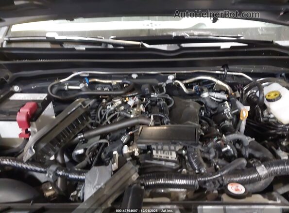 3TYJBAFN0RT013918 2024 TOYOTA TACOMA Gray Вид ззаду