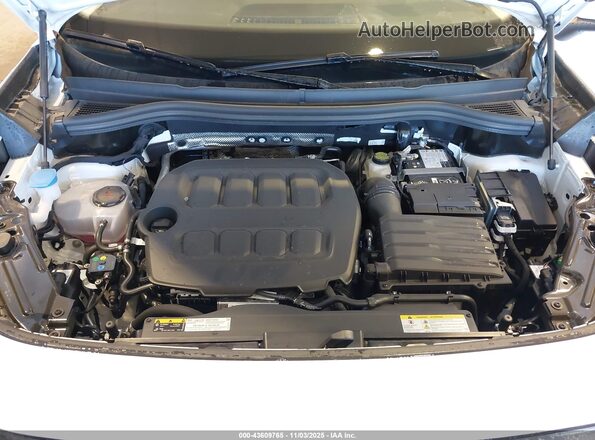 3VVBR7RM1SM049612 2025 VOLKSWAGEN TIGUAN Белый Вид сзади