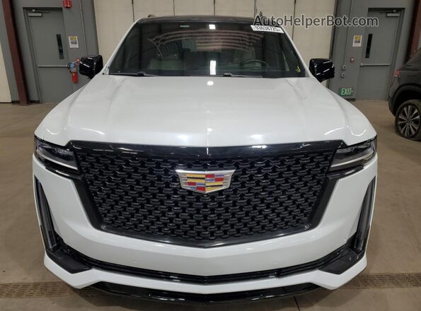 1GYS4PKL0MR407616 2021 CADILLAC ESCALADE Белый Вид сзади