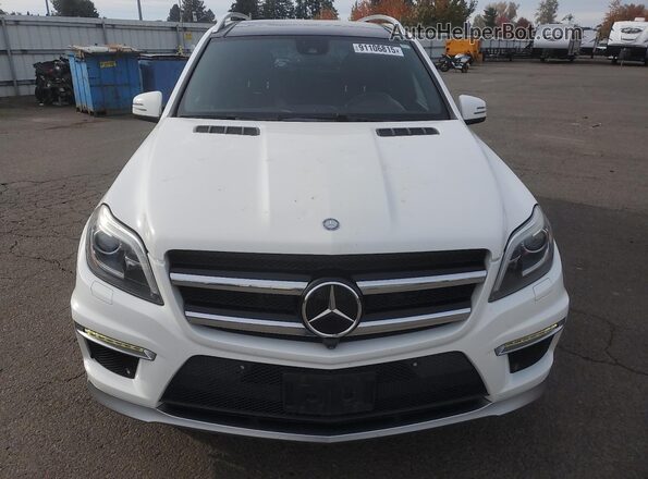 4JGDF7EE5GA669703 2016 MERCEDES-BENZ GL-CLASS White Դիմացի տեսք
