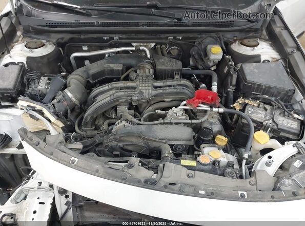 4S4BTACC2P3217940 2023 SUBARU OUTBACK Белый Вид сзади