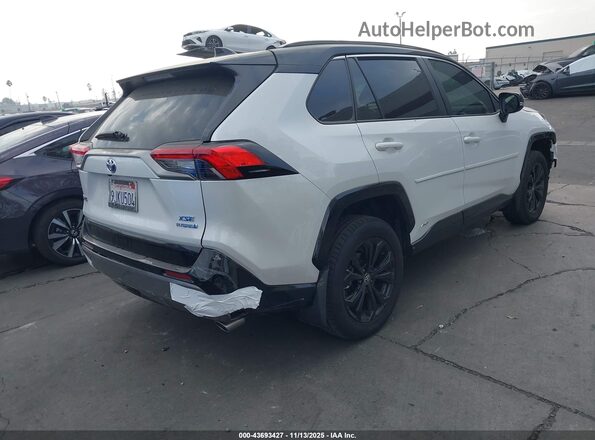 4T3E6RFV4PU139341 2023 TOYOTA RAV4 HYBRID White Tył prawy