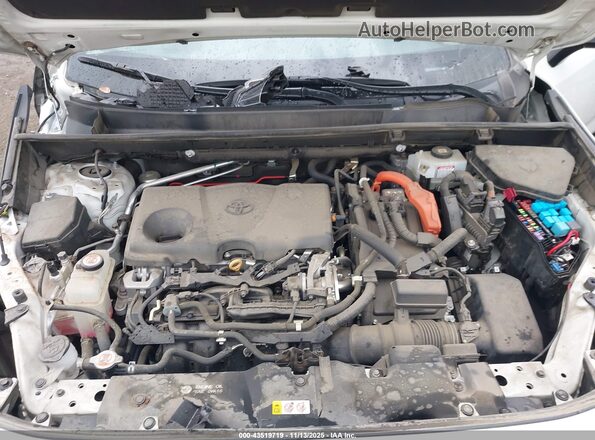 4T3E6RFV9MU027176 2021 TOYOTA RAV4 HYBRID White Вид ззаду