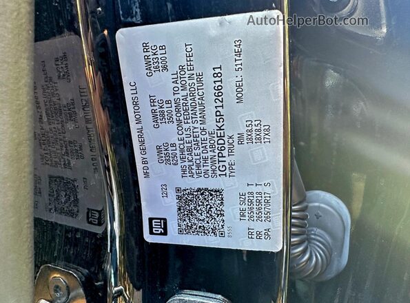 1GTP6DEK5P1266181 2023 GMC CANYON Черный Вид задней части салона