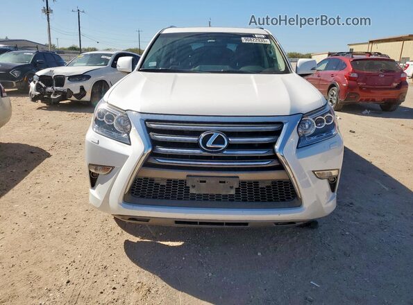 JTJBM7FX3K5224599 2019 LEXUS GX Белый Вид сзади