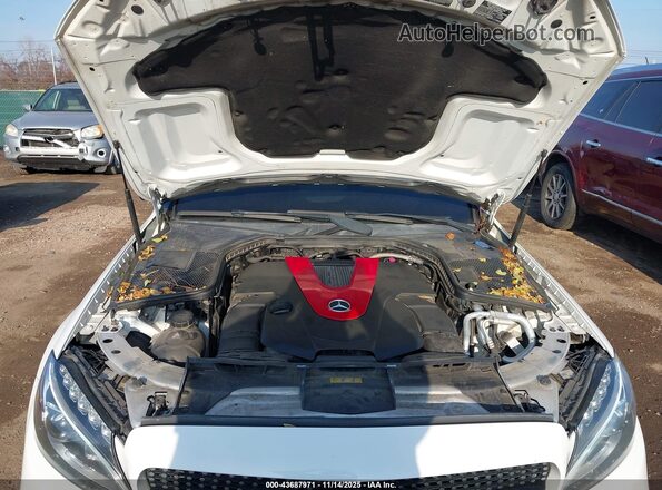 55SWF6EB6HU181431 2017 MERCEDES-BENZ AMG C 43 Белый Вид сзади