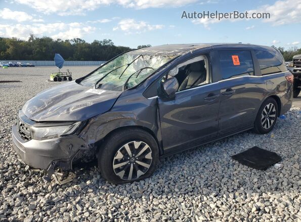 5FNRL6H61SB042076 2025 HONDA ODYSSEY Серый Задняя левая четверть