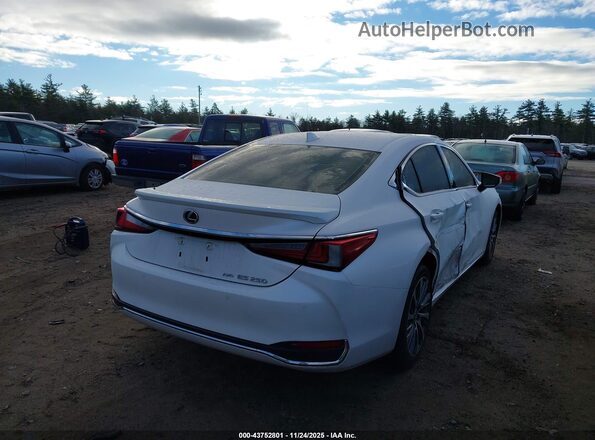 58AD11D10MU002907 2021 LEXUS ES 250 Белый Задняя правая четверть