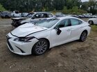 2021 Lexus Es 250 Base White vin: 58AD11D12MU007395