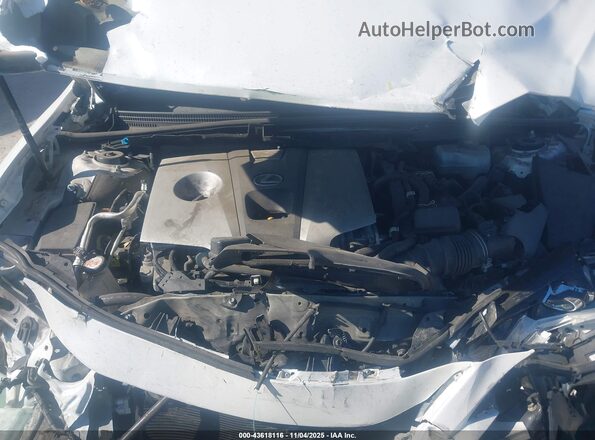 58ADA1C13MU010372 2021 LEXUS ES 300H Белый Вид сзади