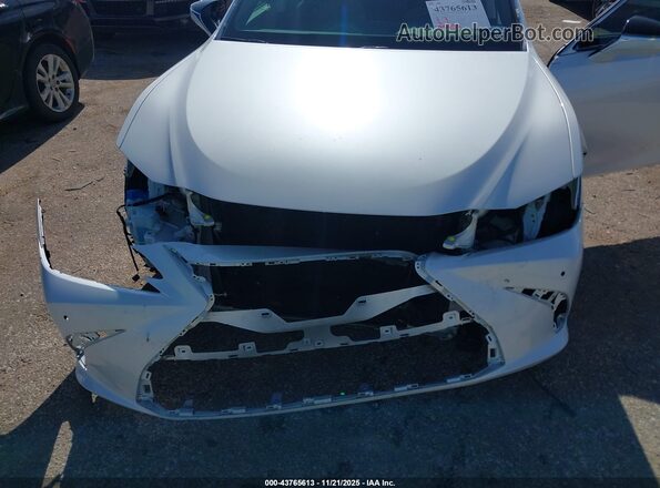 58ADZ1B14LU061257 2020 LEXUS ES 350 Белый Вид спереди