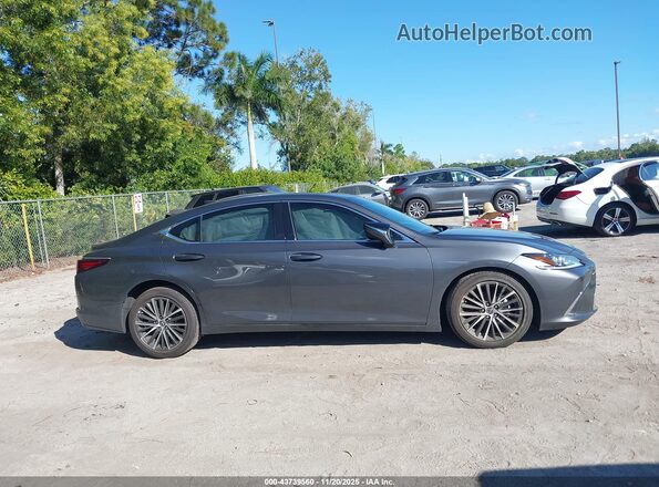 58ADZ1B1XSU185970 2025 LEXUS ES 350 Серый Вид задней части салона