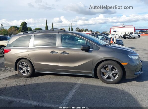 5FNRL6H53NB031074 2022 HONDA ODYSSEY Серый Вид задней части салона