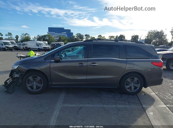 5FNRL6H53NB031074 2022 HONDA ODYSSEY Серый Панорамный вид салона 360°