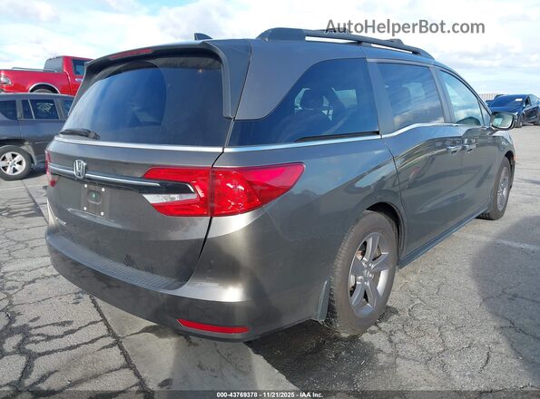 5FNRL6H53NB031074 2022 HONDA ODYSSEY Серый Задняя правая четверть