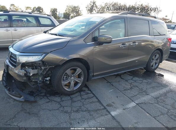 5FNRL6H53NB031074 2022 HONDA ODYSSEY Серый Передняя левая четверть
