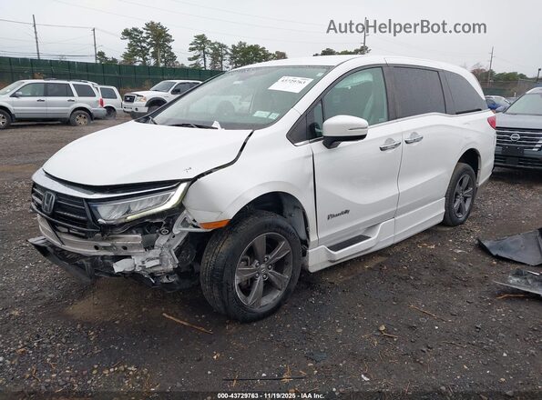 5FNRL6H58MB036303 2021 HONDA ODYSSEY Белый Передняя левая четверть