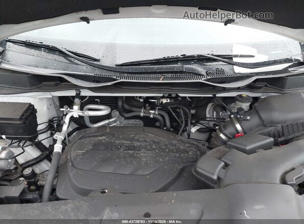 5FNRL6H58MB036303 2021 HONDA ODYSSEY Белый Вид сзади