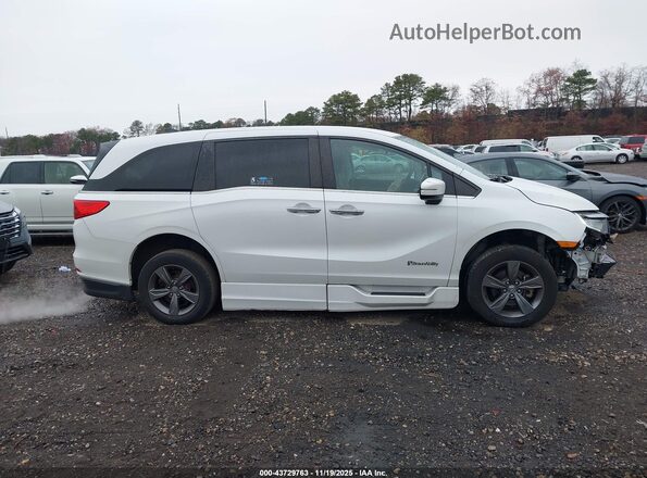 5FNRL6H58MB036303 2021 HONDA ODYSSEY Белый Вид задней части салона