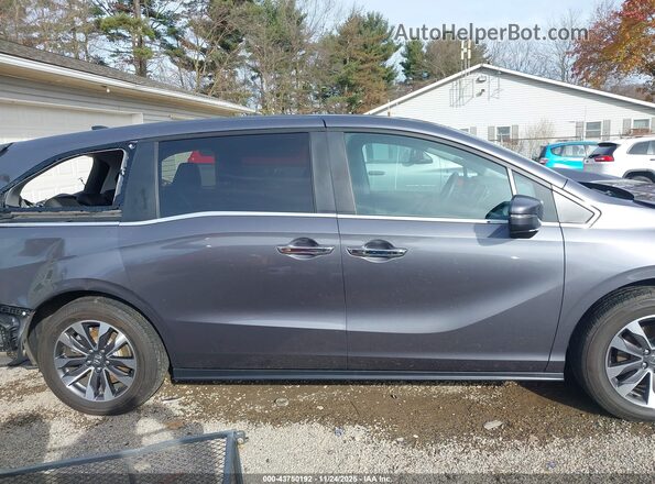 5FNRL6H63RB065286 2024 HONDA ODYSSEY Gray Widok wnętrza 360 stopni