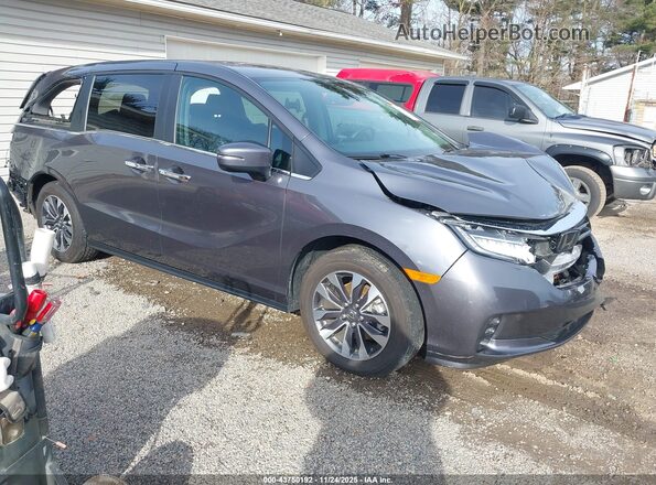 5FNRL6H63RB065286 2024 HONDA ODYSSEY Gray Przód prawy