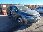 2025 Honda Odyssey Ex-l Gray vin: 5FNRL6H64SB073676