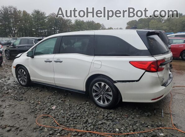 5FNRL6H67RB051598 2024 HONDA ODYSSEY Белый Задняя левая четверть