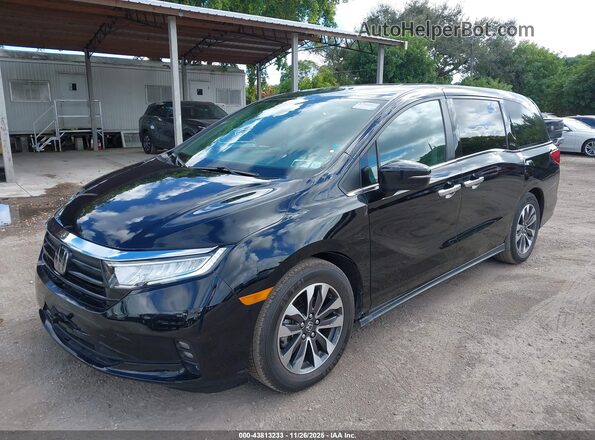 5FNRL6H68RB018609 2024 HONDA ODYSSEY Black Przód lewy