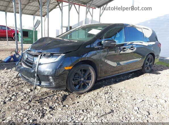 5FNRL6H76RB004586 2024 HONDA ODYSSEY Черный Передняя левая четверть