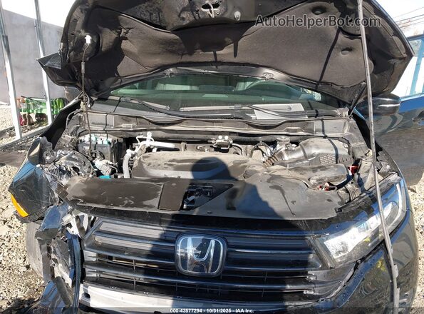 5FNRL6H76RB004586 2024 HONDA ODYSSEY Черный Вид сзади