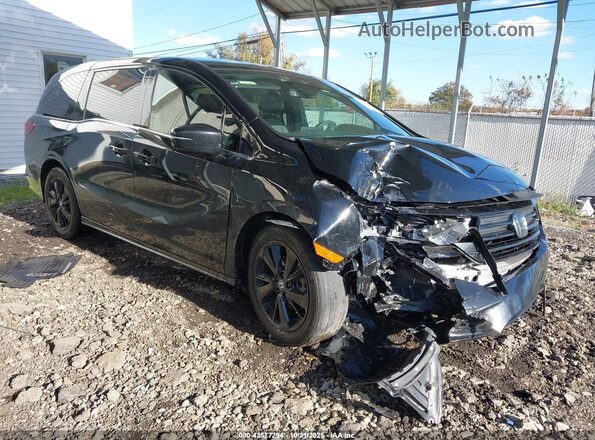 5FNRL6H76RB004586 2024 HONDA ODYSSEY Черный Передняя правая четверть
