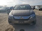 2019 Honda Odyssey Exl Gray vin: 5FNRL6H78KB076931