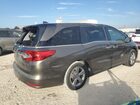 2019 Honda Odyssey Exl Gray vin: 5FNRL6H78KB076931