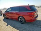2023 Honda Odyssey Elite Красный vin: 5FNRL6H93PB023305