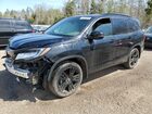 2019 Honda Pilot Elite Черный vin: 5FNYF6H03KB504491