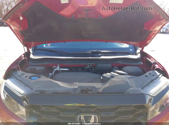5FNYF8H06NB021271 2022 HONDA PASSPORT Красный Вид сзади